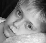 Das Bild zum Artikel