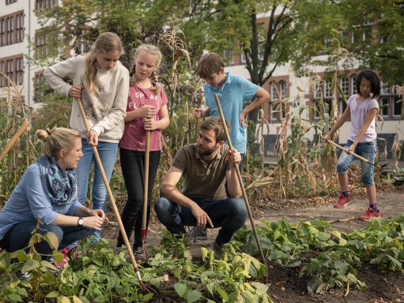 Das Bild zum Artikel