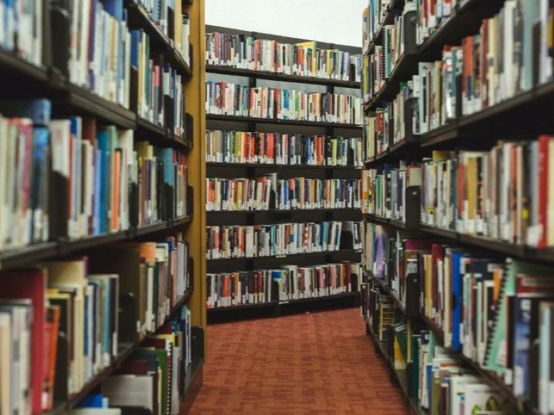 Das Bild zum Artikel