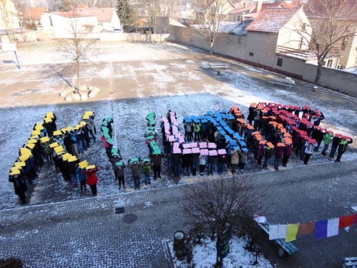 Das Bild zum Artikel