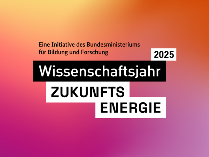 Das Bild zum Artikel