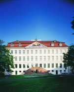 Das Bild zum Artikel