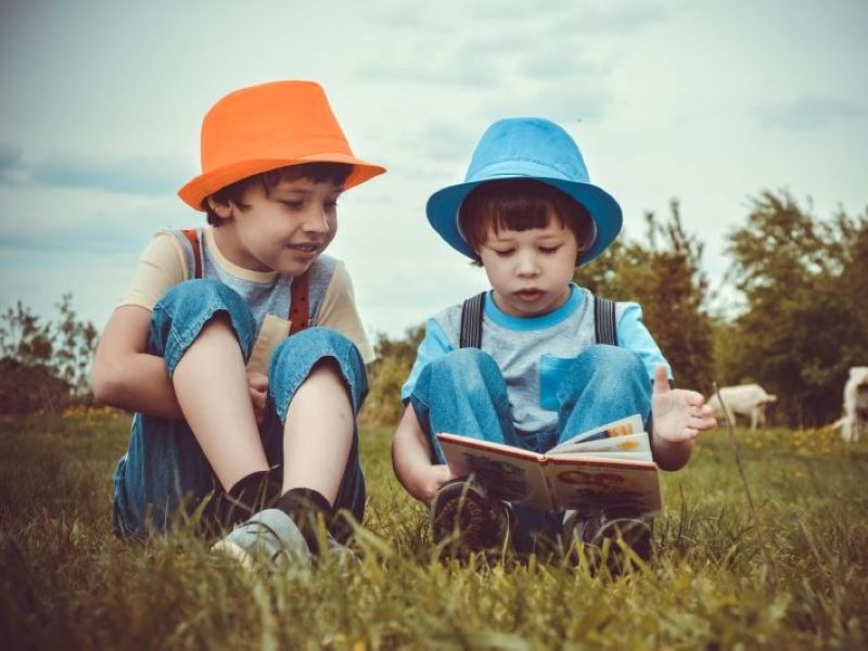 Das Bild zum Artikel